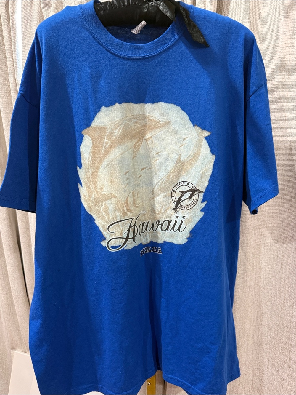 Hawaii Graphic Short-Sleeve Tee - Blue